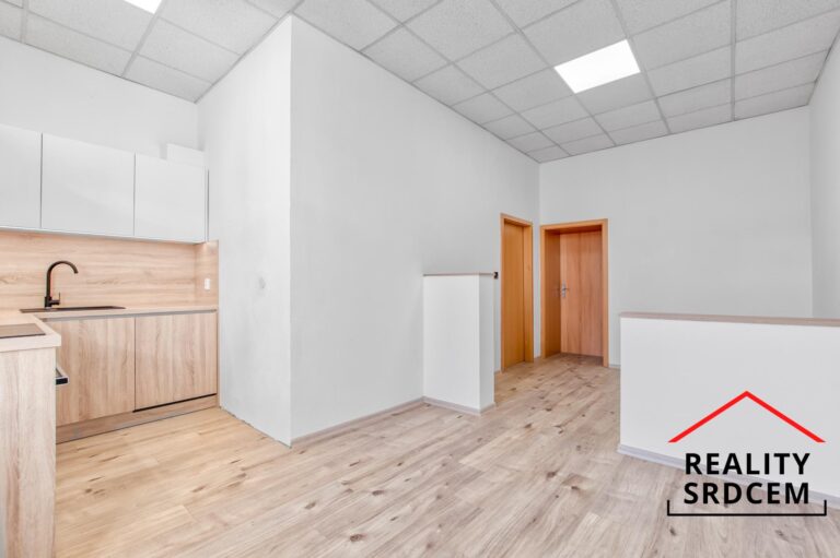 Michal-Lesnak-profesionalni-realitni-makler-prodej-pronajem-nemovitosti-realitni-kancelar-delame-rea