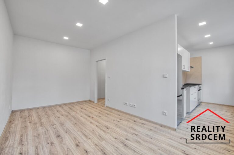 mikita-roman-realitni-makler-frydek-mistek-pronajem-byt