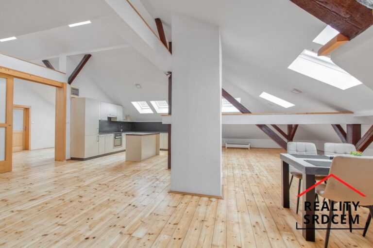 Michal-Lesnak-profesionalni-realitni-makler-Ostrava-prodej-pronajem-nemovitosti-realitni-kancelar