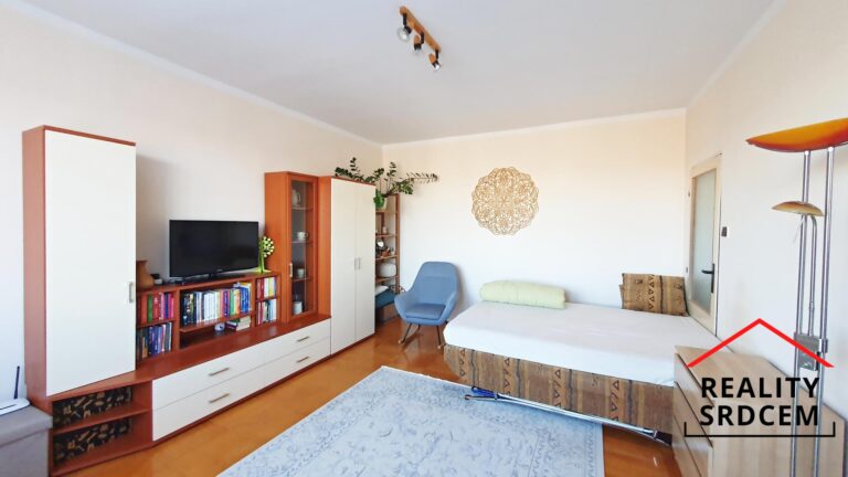 mikita-roman-realitni-makler-frydek-mistek-pronajem-byt