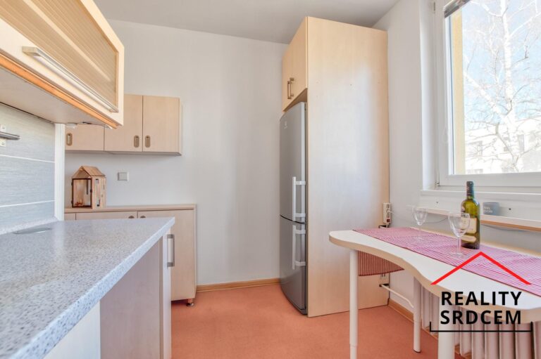 mikita-roman-realitni-makler-frydek-mistek-pronajem-byt