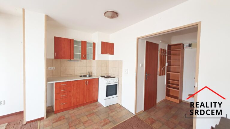 mikita-roman-realitni-makler-frydek-mistek-pronajem-byt-podkrovni