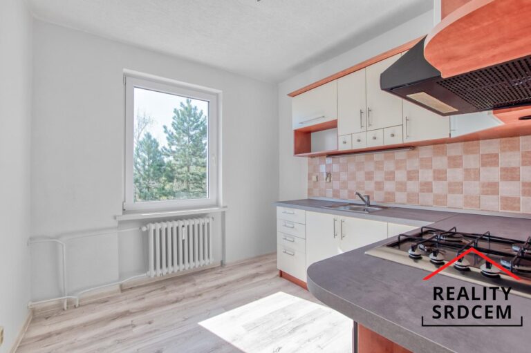 mikita-roman-realitni-makler-frydek-mistek-pronajem-byt