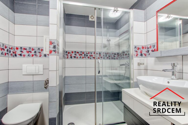 mikita-roman-realitni-makler-frydek-mistek-pronajem-byt