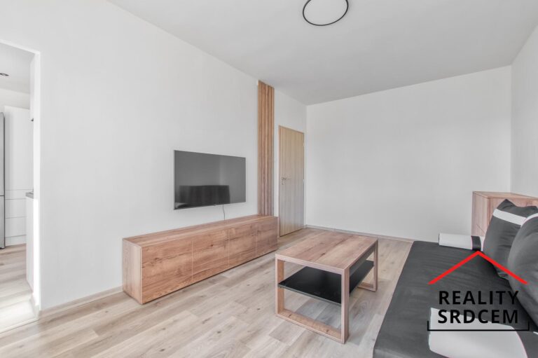 mikita-roman-realitni-makler-frydek-mistek-pronajem-byt