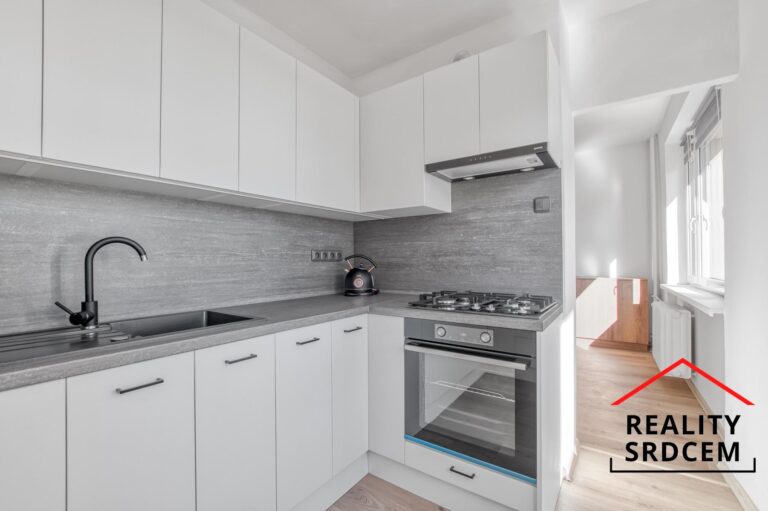 mikita-roman-realitni-makler-frydek-mistek-pronajem-byt