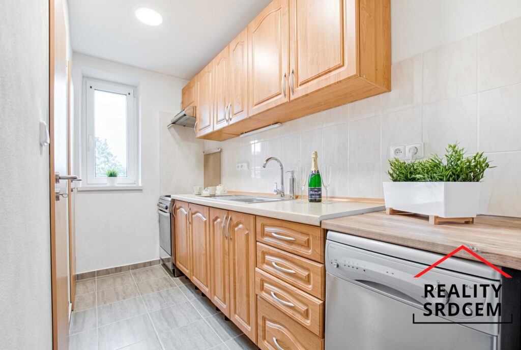 mikita-roman-realitni-makler-frydek-mistek-pronajem-byt