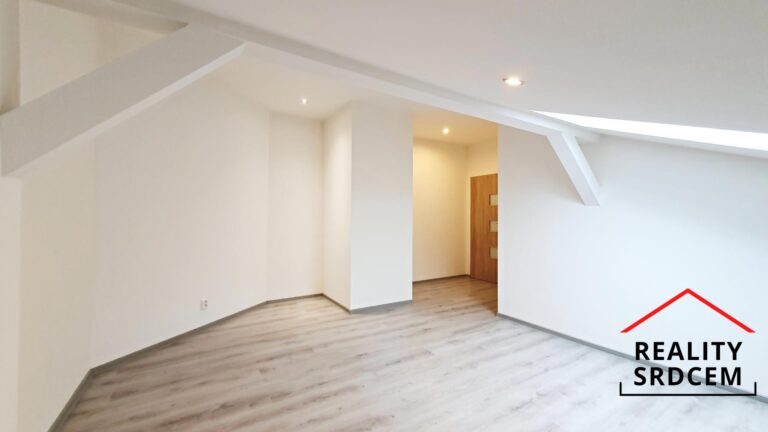 mikita-roman-realitni-makler-ostrava-marianske-hory-pronajem-podkrovni-byt