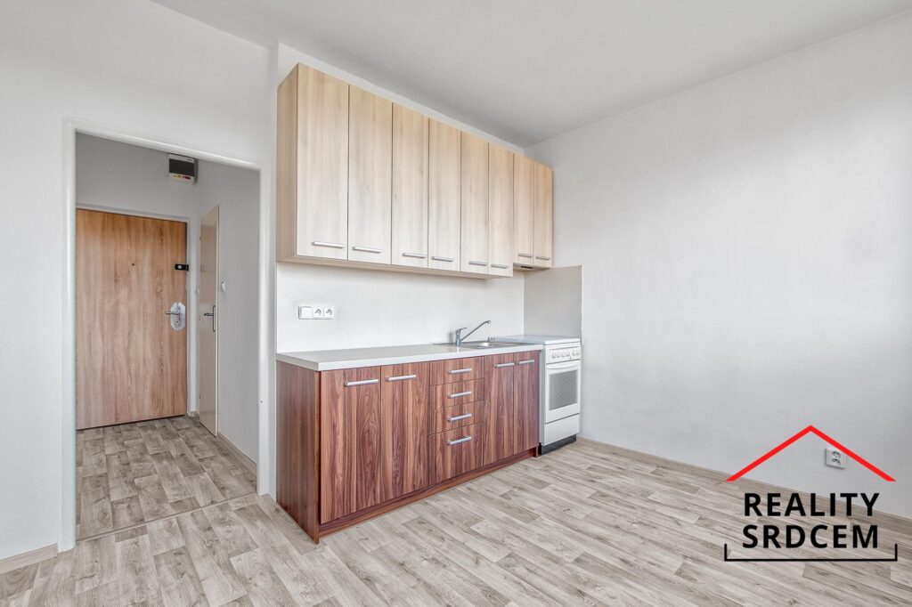 mikita-roman-realitni-makler-karvina-podnajem-byt