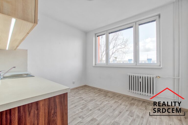 mikita-roman-realitni-makler-karvina-podnajem-byt