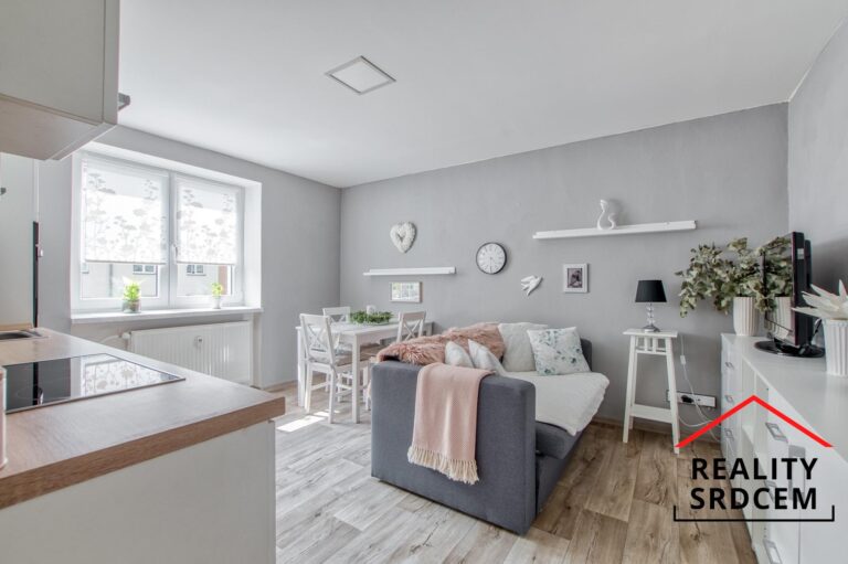 mikita-roman-realitni-makler-frydek-mistek-prodej-byt