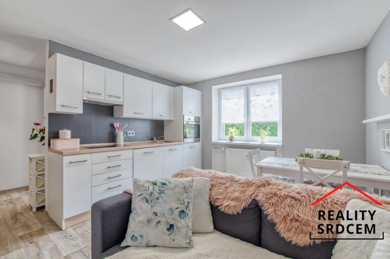 mikita-roman-realitni-makler-frydek-mistek-prodej-byt