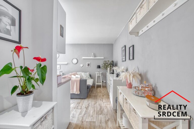 mikita-roman-realitni-makler-frydek-mistek-prodej-byt