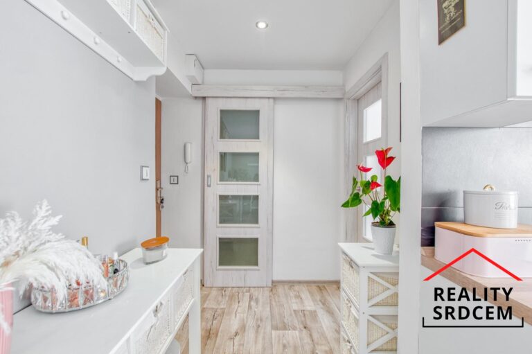 mikita-roman-realitni-makler-frydek-mistek-prodej-byt