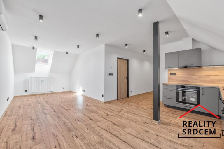 Michal-Lesnak-profesionalni-realitni-makler-pronajem-prodej-sprava-nemovitosti-MS-kraj-DELAME-REALIT