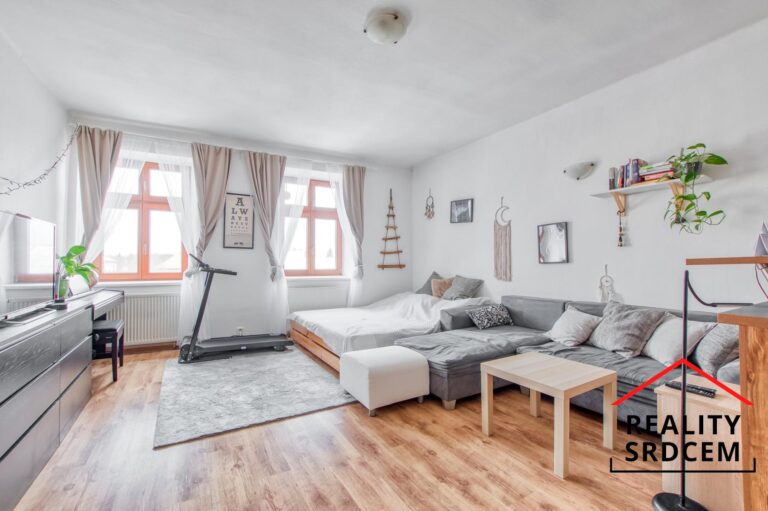 MIchal-Lesk-profesionln-realitn-makl-prodej-pronjem-nemovitost-RK-Dlme-reality-srdcem-r