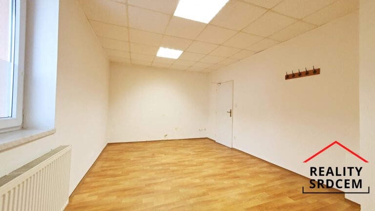 mikita-roman-realitni-makler-frydek-mistek-pronajem-kancelar