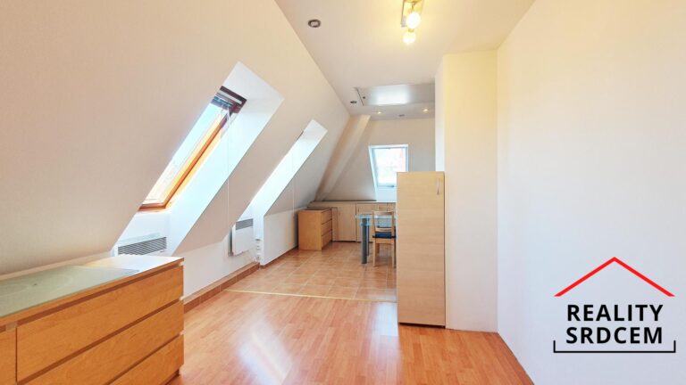 mikita-roman-realitni-makler-frydek-mistek-pronajem-podkrovni-byt