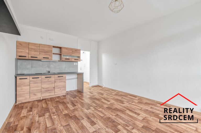 mikita-roman-realitni-makler-frydek-mistek-pronajem-byt