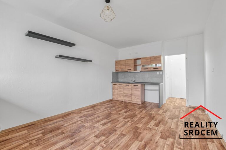 mikita-roman-realitni-makler-frydek-mistek-pronajem-byt