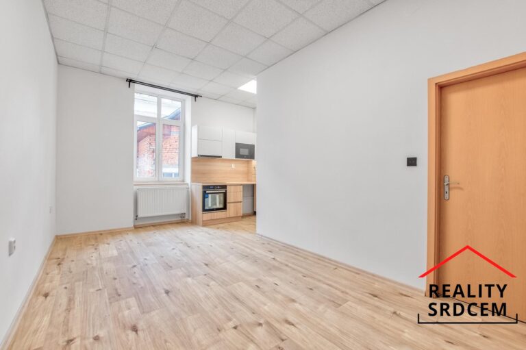 Michal-Lesk-profesionln-realitn-makl-prodej-pronjem-sprva-nemovitost-DLME-REALITY-SRDCEM