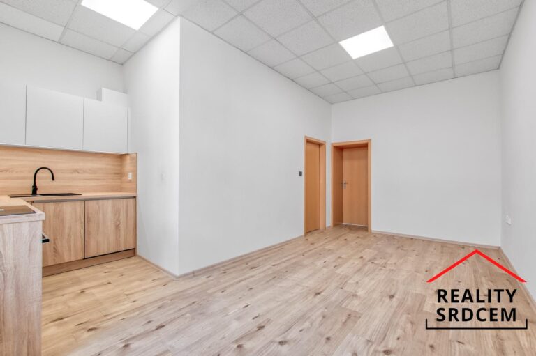 Michal-Lesk-profesionln-realitn-makl-prodej-pronjem-sprva-nemovitost-DLME-REALITY-SRDCEM