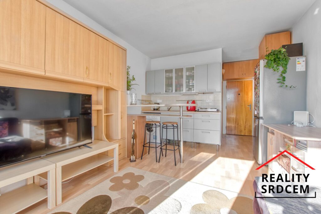 mikita-roman-realitni-makler-frydek-mistek-pronajem-byt