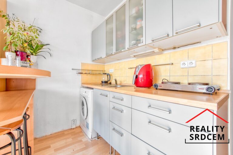 mikita-roman-realitni-makler-frydek-mistek-pronajem-byt