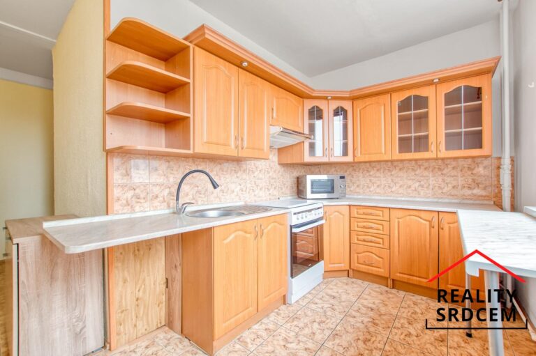 mikita-roman-realitni-makler-havirov-prodej-byt