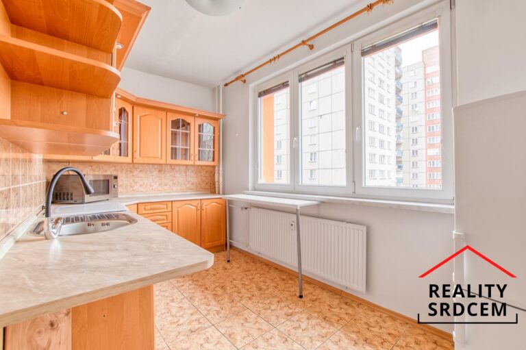 mikita-roman-realitni-makler-havirov-prodej-byt