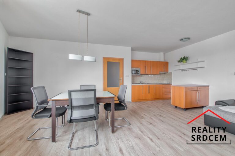 mikita-roman-realitni-makler-celadna-pronajem-apartman