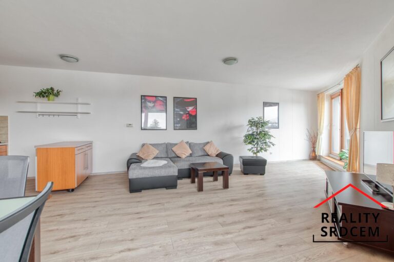 mikita-roman-realitni-makler-celadna-pronajem-apartman