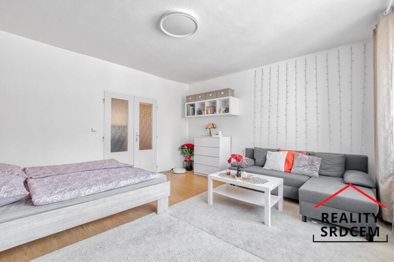 Michal-Lesk-profesionln-realitn-makl-prodej-pronjem-nemovitosti-Ostrava-Karvin-Opava-Havo