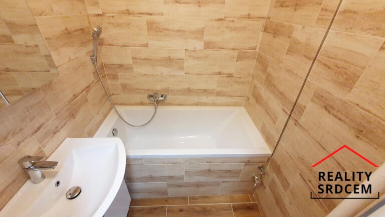 mikita-roman-realitni-makler-frydek-mistek-pronajem-byt